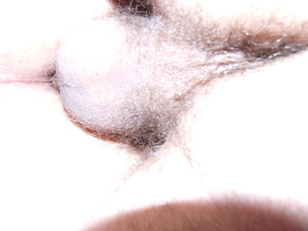 DSCF4378